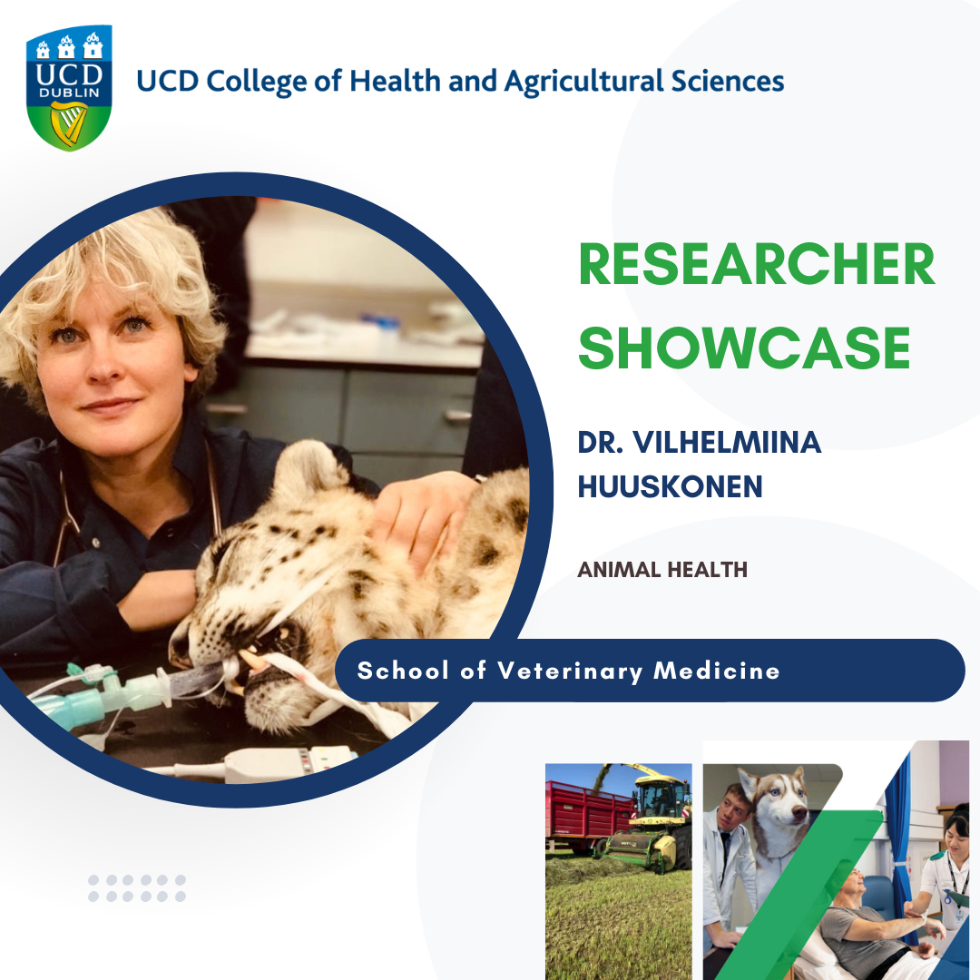 School of Veterinary Medicine\nResearcher in Veterinary Anaesthesia and Analgesia